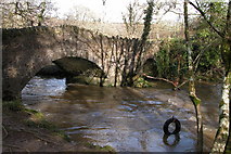 SS7213 : Leigh Bridge, near Cheldon by Philip Halling