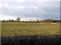 Fields near Burrows Bridge