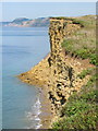 Burton Cliff, showing 2005 landslip