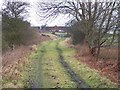 bridge over disused railway near Low Woods, Leicestershire