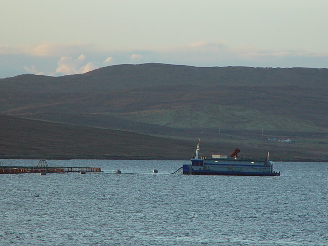 Dury Voe, Shetland