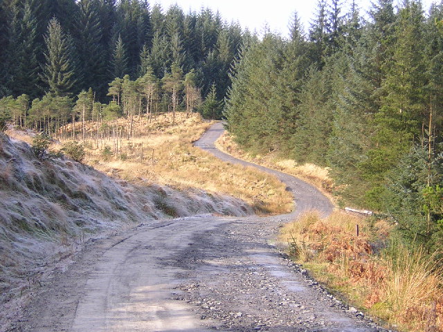 Track in Loch Ard Forest