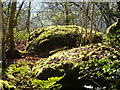 Boulders in Shaptor Wood