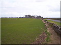 Balcathie and Grassy Field