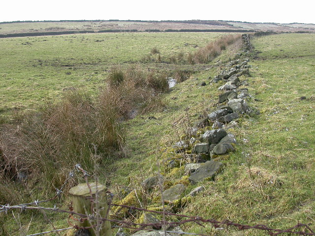 The Eastern slopes of Ellarcarr Pike