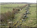 The Eastern slopes of Ellarcarr Pike