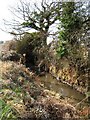 Brook South of Wickford