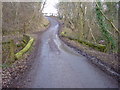 Whalegill Bridge