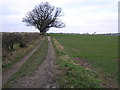 Bridleway To Owday Wood