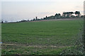 Farmland near Wanlip, Leicestershire