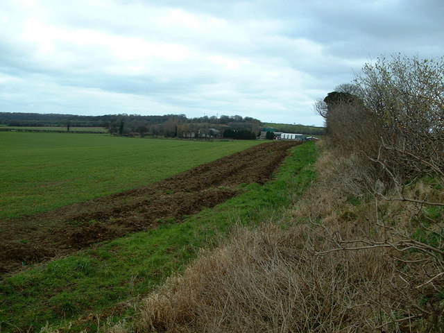 Along a field boundary, towards Marr Grange