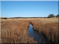 Marsh Farm Country Park