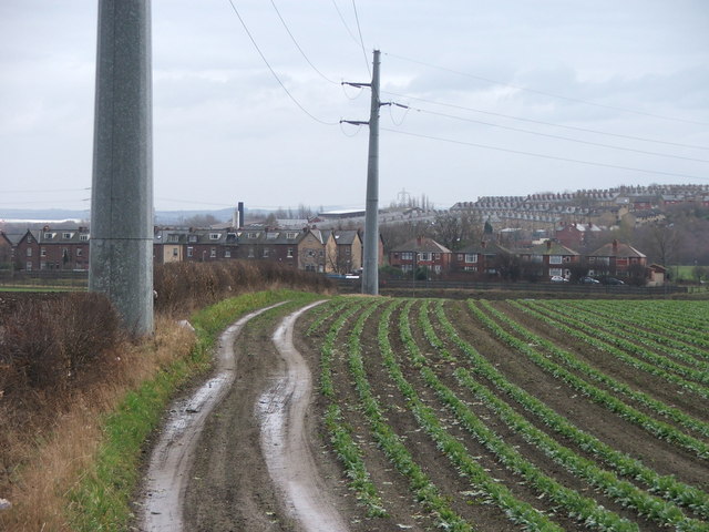 Tubular pylons at Thorpe on the Hill.