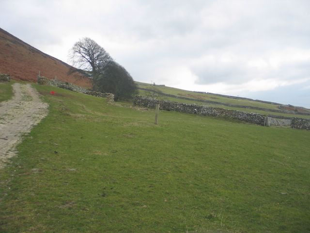 Farmland above Gwastadgoed