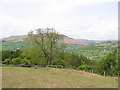 Descending the Sugar Loaf towards Llangenny