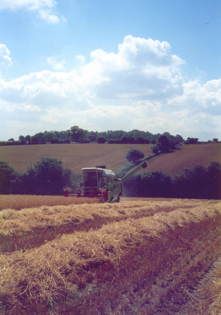 Harvest time at Rudwick Hall
