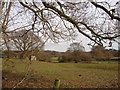 TQ7008 : Farmland Nr Little Common East Sussex by Janet Richardson