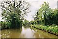 Llangollen Canal  north of Springhill Bridge