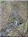 Cow Beck in Hawksworth Wood