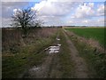 Disused Railway