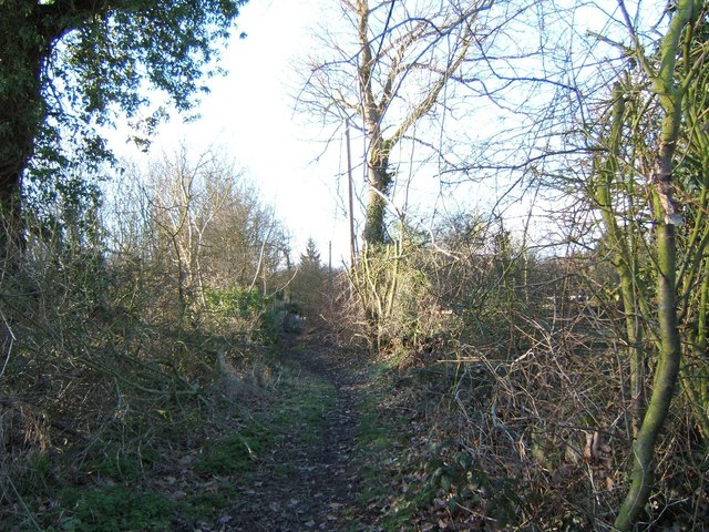 Footpath to Hockley Wood