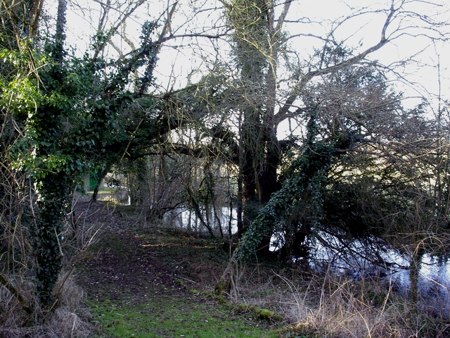River Itchen north of Alresford Road