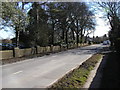 The road outside Brough Golf Course