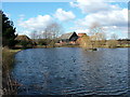 Mardleybury Farm & Pond