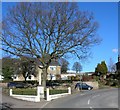 War Memorial, Unstone.