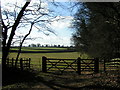 Bridleway near Harlestone