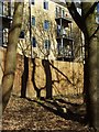 Rear of Brodwell Grange, Horsforth