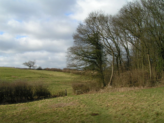 Nobottle Wood Daventry Area Information Map Walks And More 