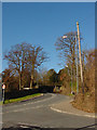 Looking up Kings Weston Lane