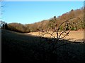 Sweeping fields near Wigginton