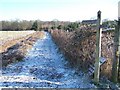 Footpath to Hook Wood