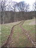 SO9810 : Track Down to Shewel Wood by Bob Embleton
