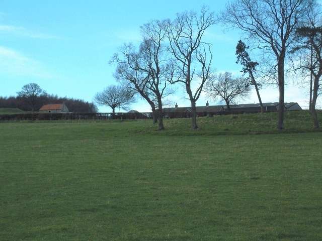 Scotscraig Mains Farm