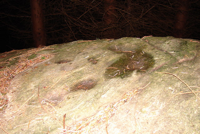 Cup-marked rock