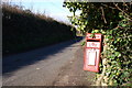 Post Box on a Tree