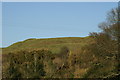 Remains of Stowey Castle