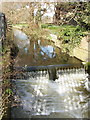 Weir on River Colne, Stanwell Moor