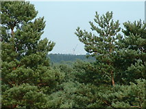 SU8766 : View across Bracknell Forest to the new stand at Ascot Racecourse by Mark Pepall