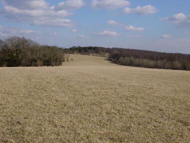 Field between Gadd's Bottom and Charlton Forest