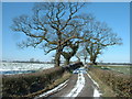 Farm track to Middleton Hall