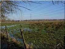 SU3614 : Grassy marsh by Footprints