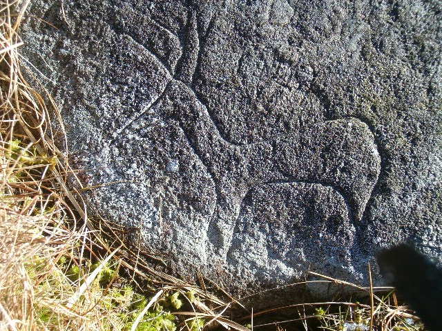 The Roebuck Stone - carving detail