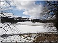 Hendre farmland