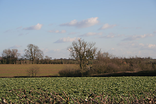 Farmland near Seagrave