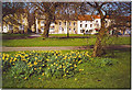 Staindrop, Georgian Houses on the Green.