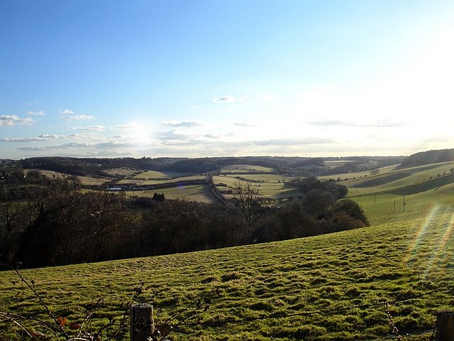 View from Yaugher Woods